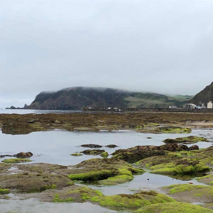 Puffins Nest Villa Gardenstown Exterior foto